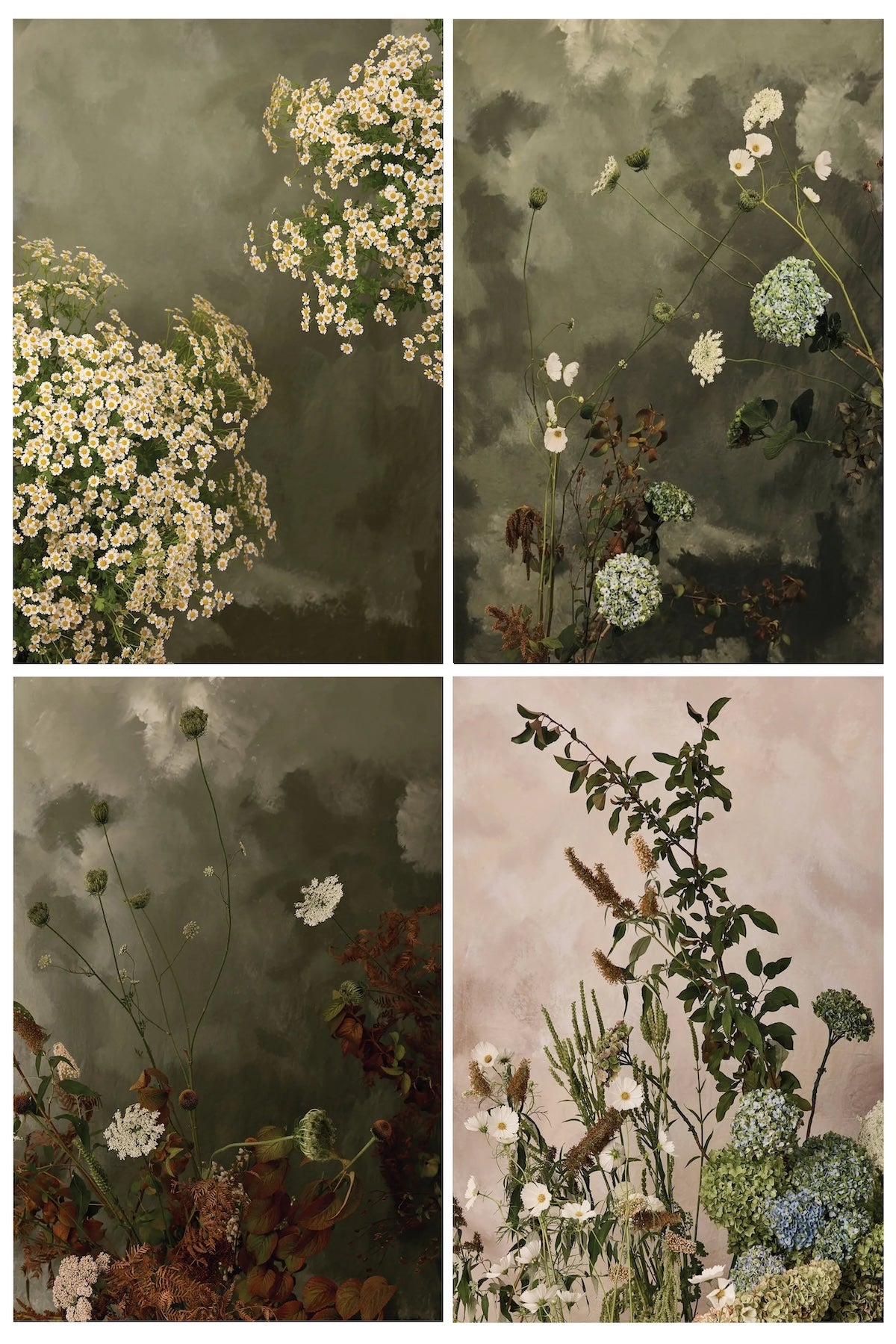 Austin Bloom Fine Art Print Velvet Green Prints Sample Pack #1