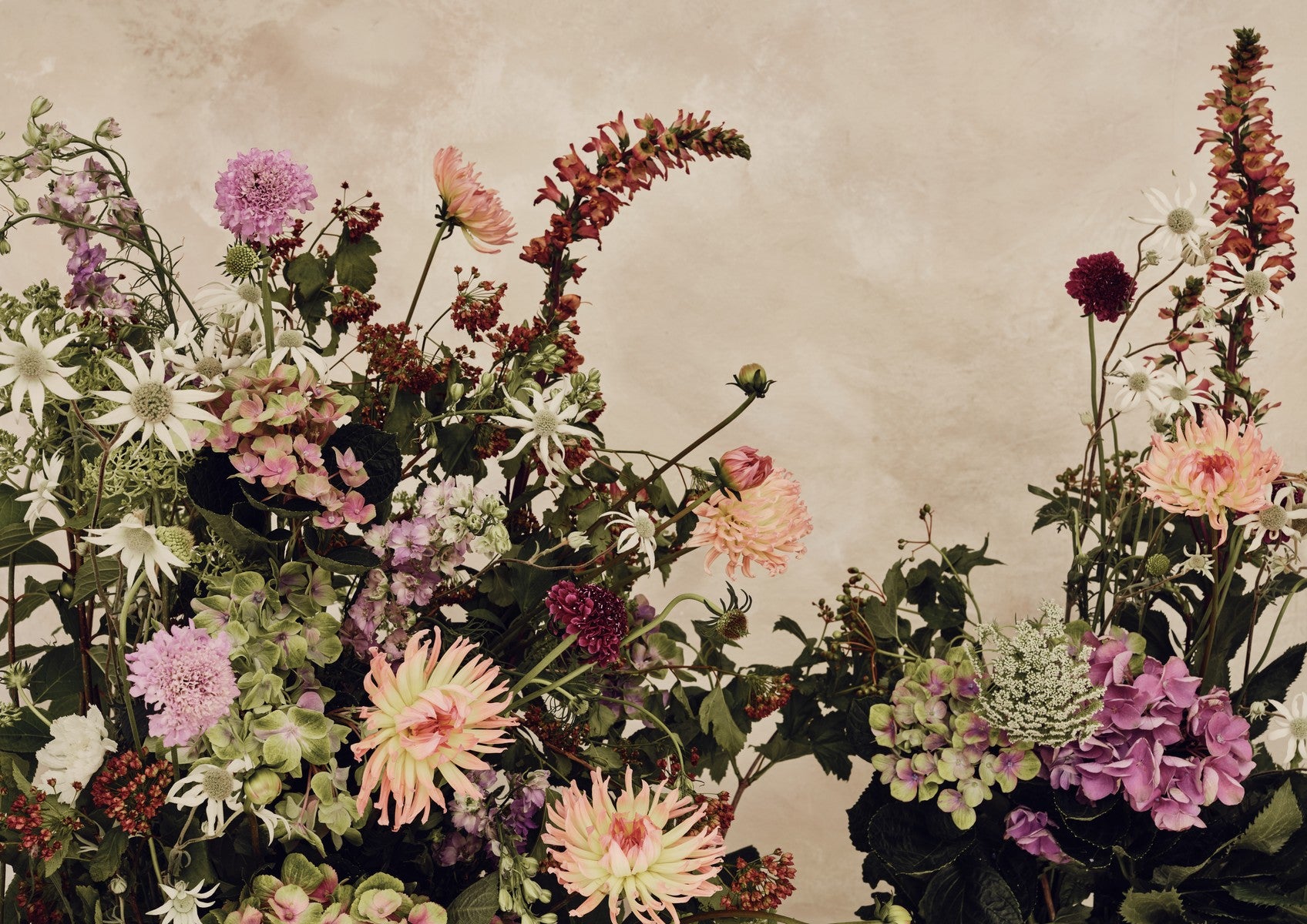 Fine art print of an abundant cottage-garden arrangement — dahlias, chrysanthemums, hydrangeas and red salvia — around a warm beige centre.