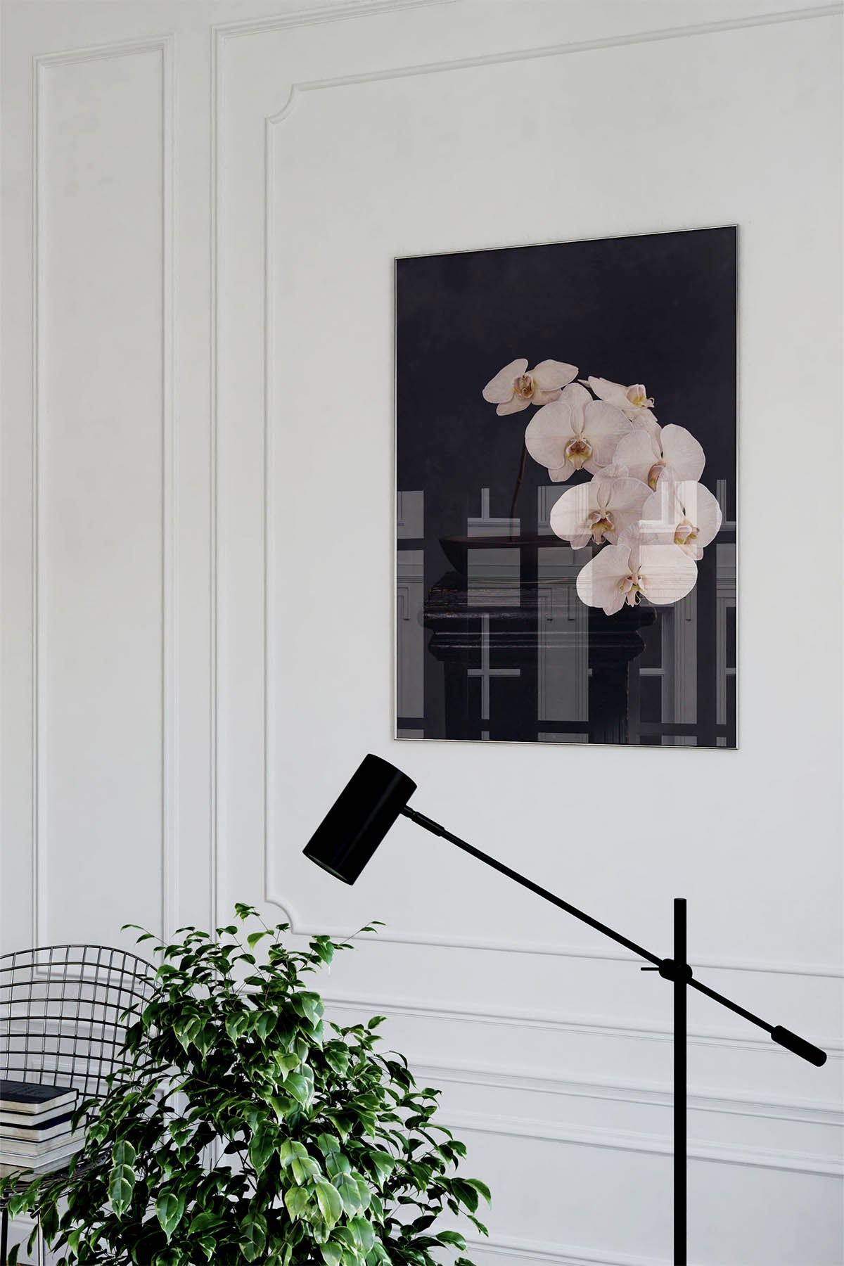 Fine Art Print Of A White Phaleanopsis Stem In A Black Bowl ON A Wall In A Modern French Inspired living room.