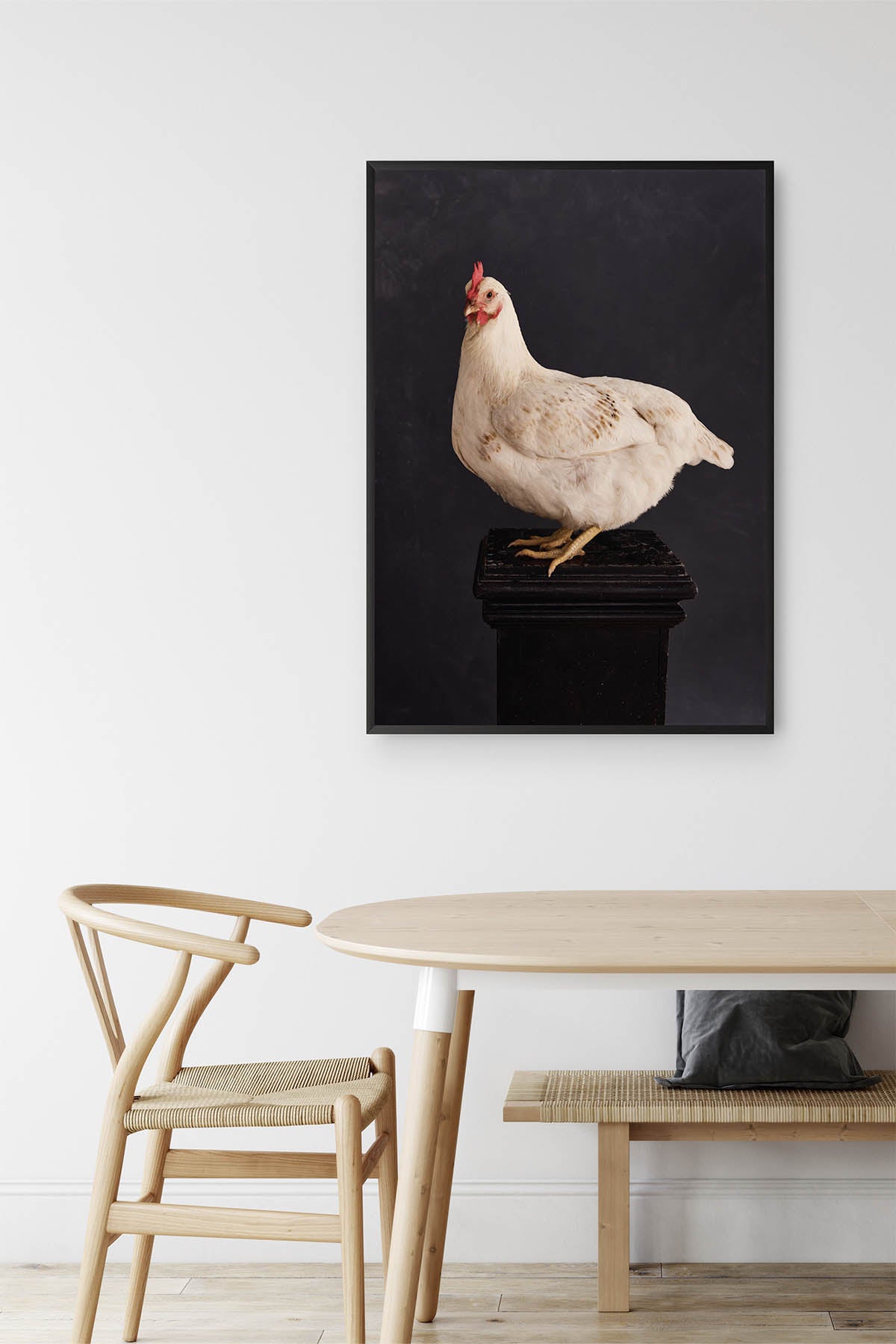 Fine Art Print Of A White Chicken Standing On A Black Plinth With A Black Background Framed On A Wall In An European Style Dining Nook With Light Oak Wishbone Chairs. 