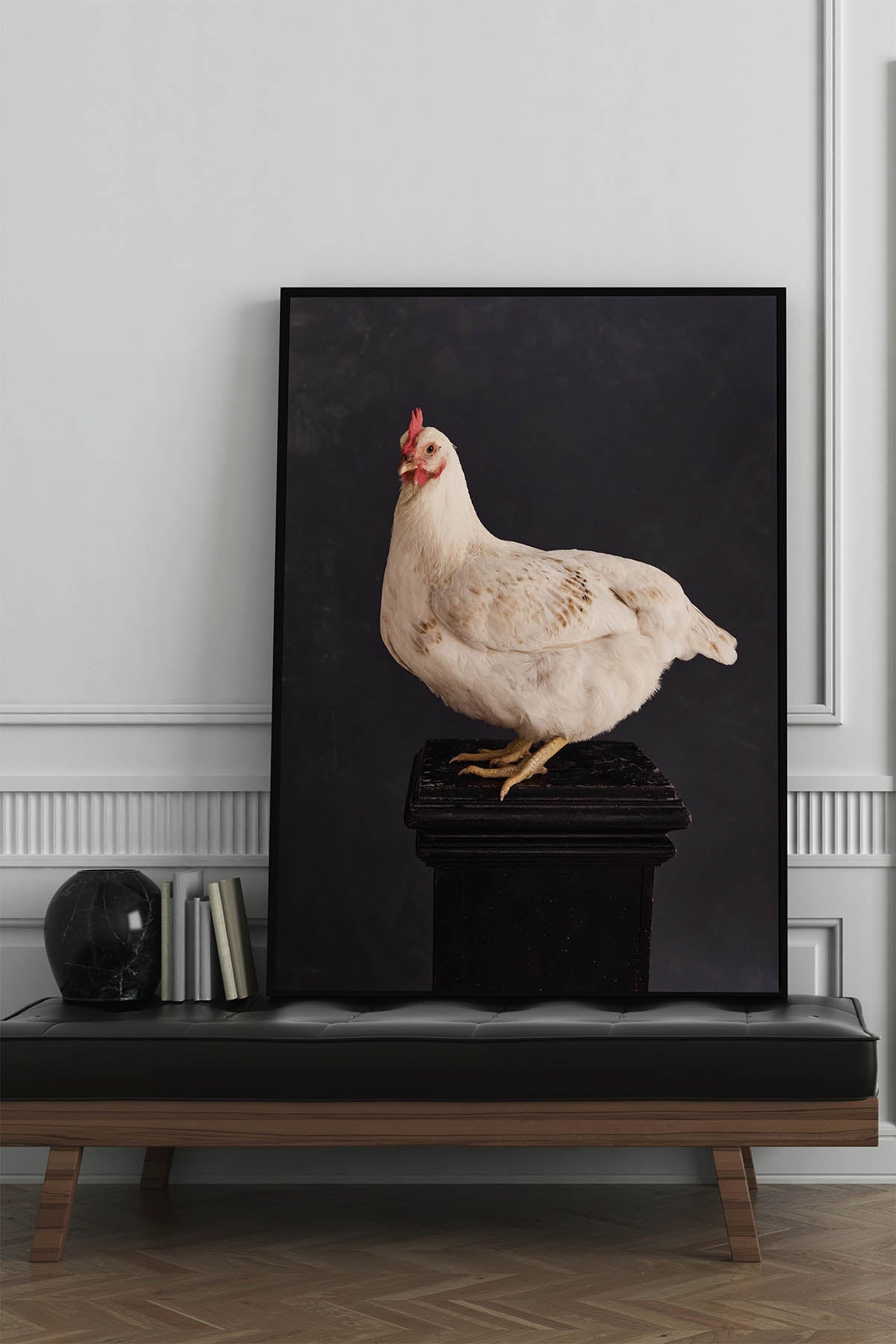 Fine Art Print Of A White Chicken Standing On A Black Plinth With A Black Background Framed On A Wall In An European Style Entry Way and Black Leather Bench.