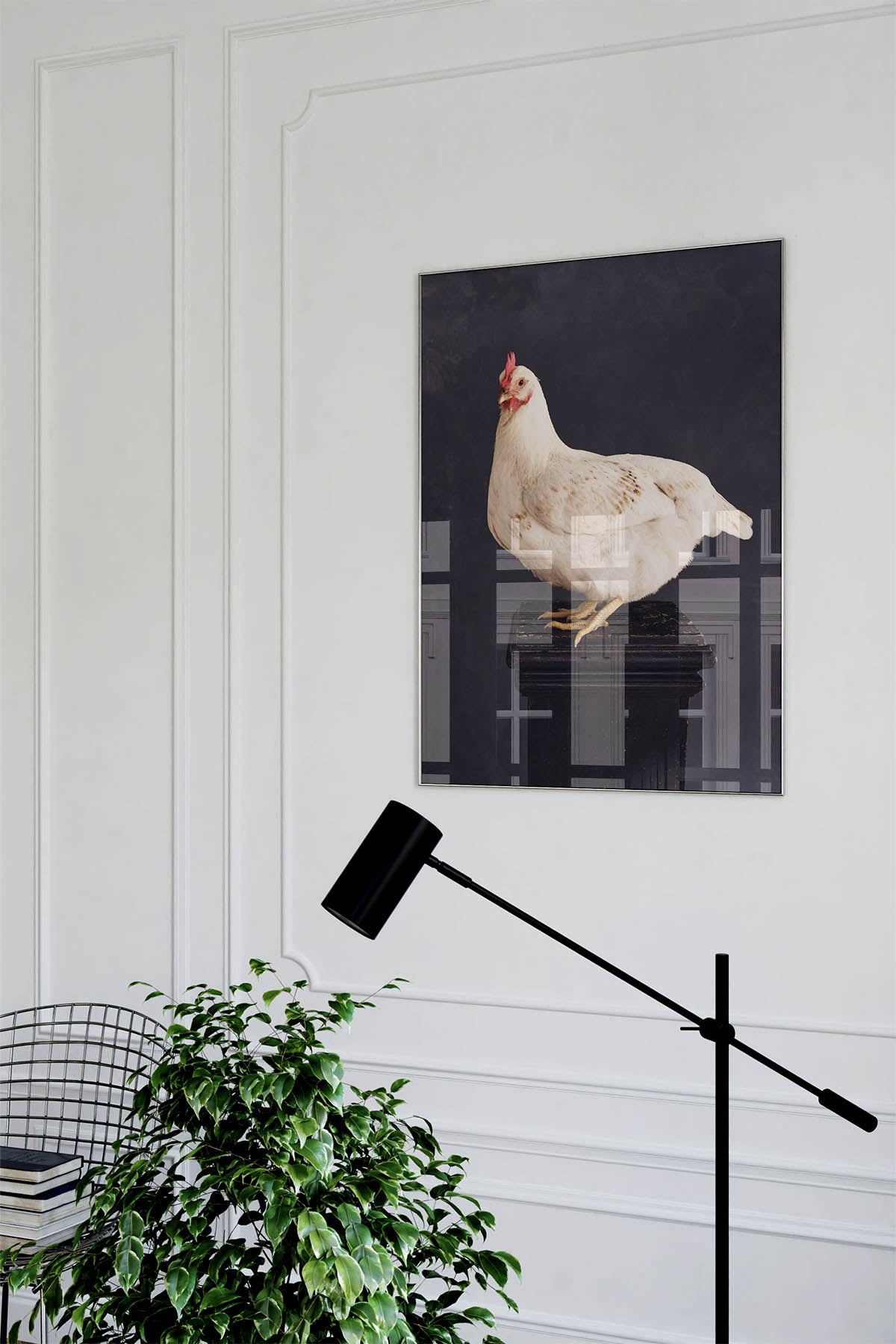 Fine Art Print Of A White Chicken Standing On A Black Plinth With A Black Background Framed On A Wall In An European Style Entry Way or Living Room.