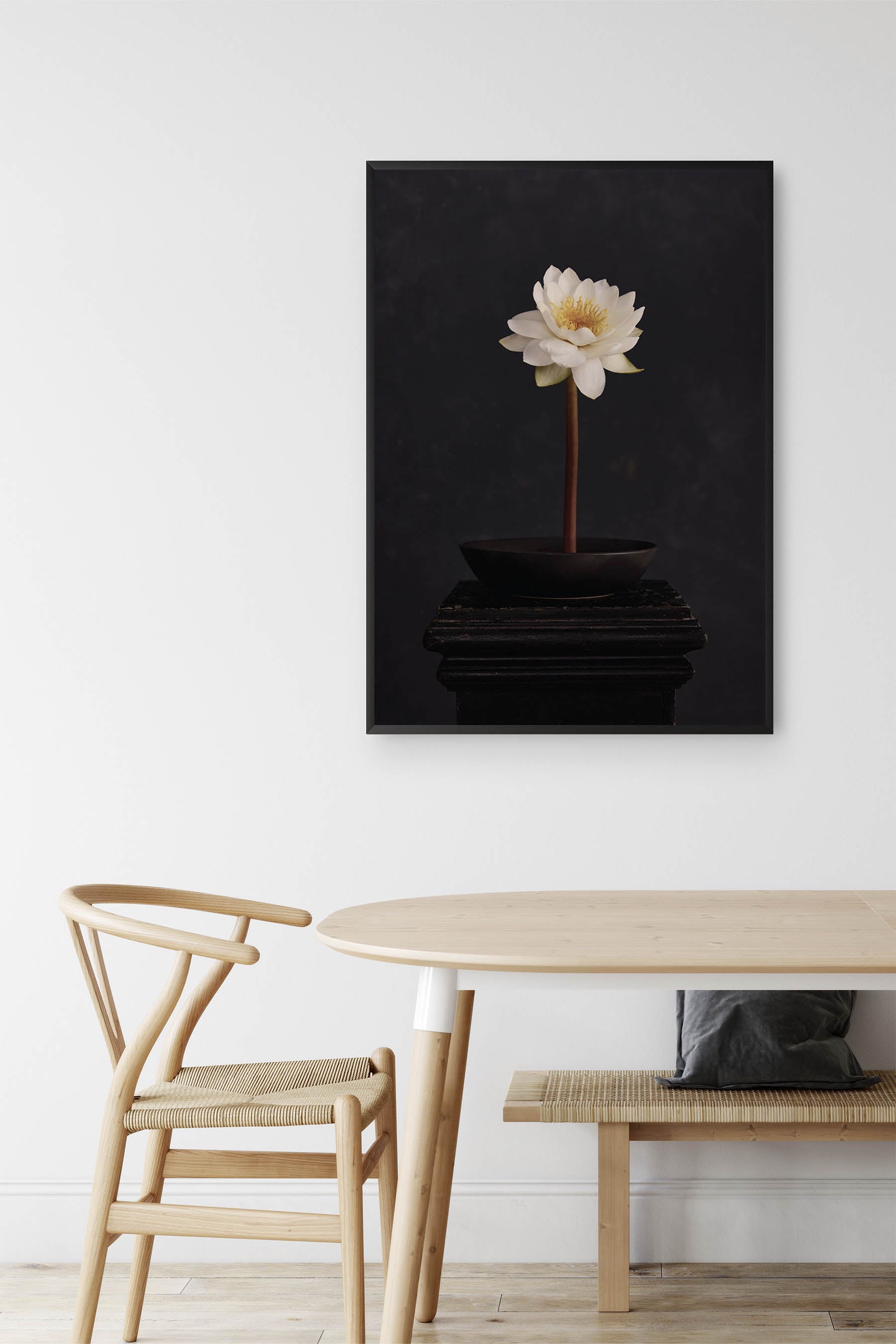 Squid Ink - Water Lily - Fine Art Print