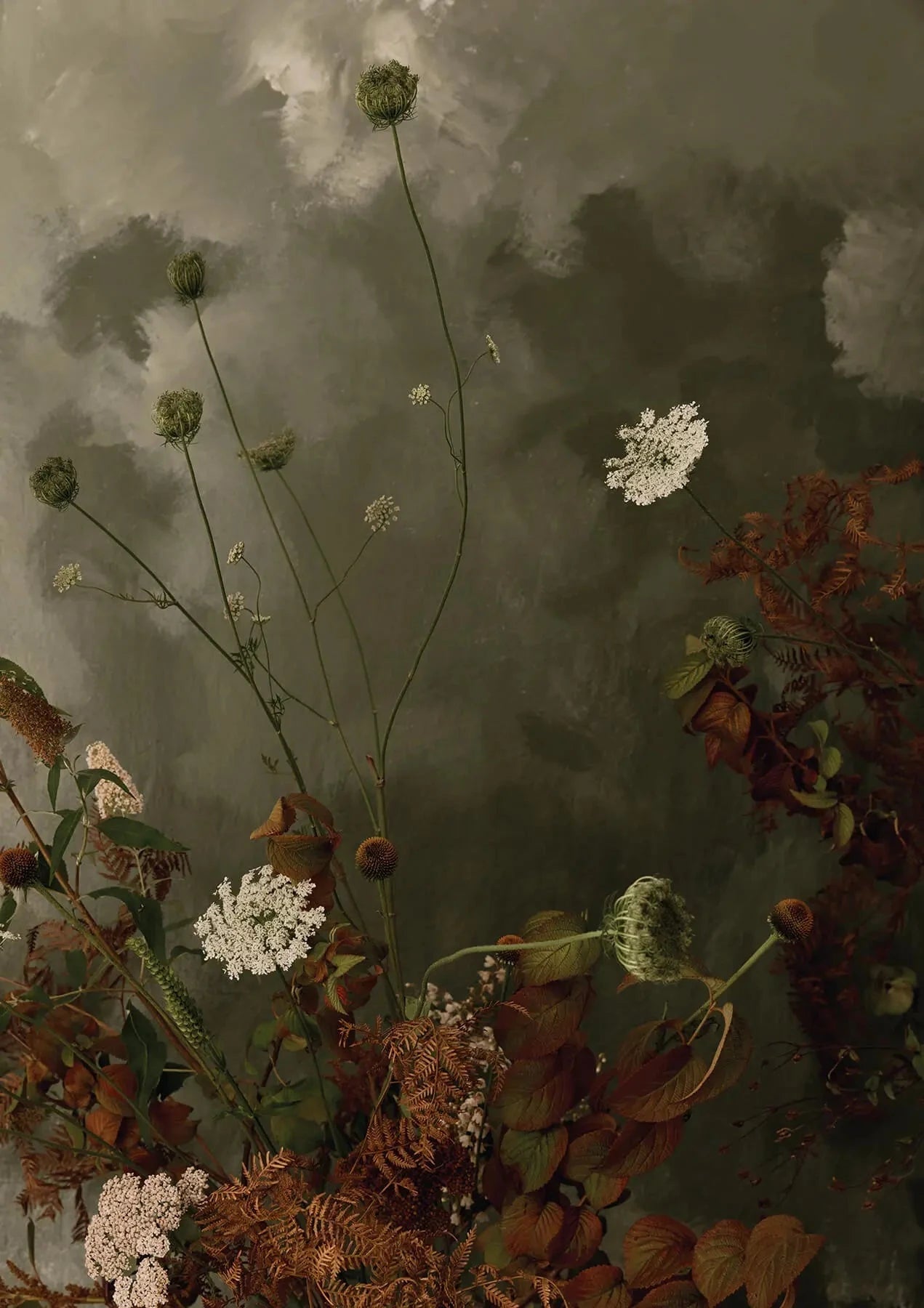 Austin Bloom Fine Art Print Bracken