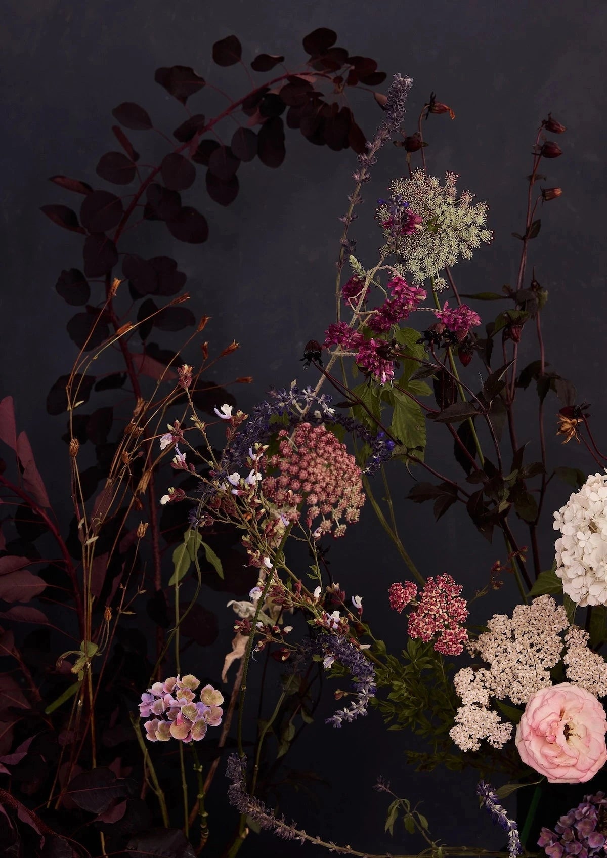 Austin Bloom Fine Art Print Full Moon - Limited Edition