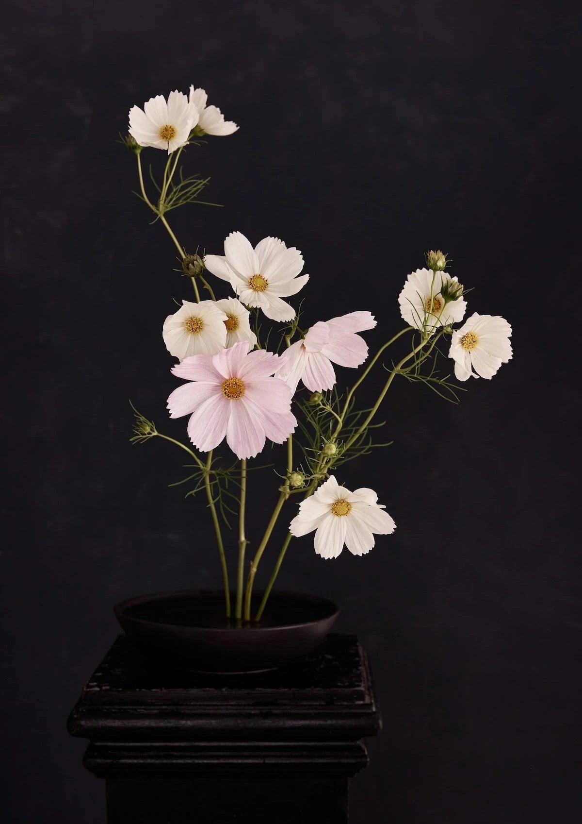 Austin Bloom Fine Art Print Into The Light - Limited Edition