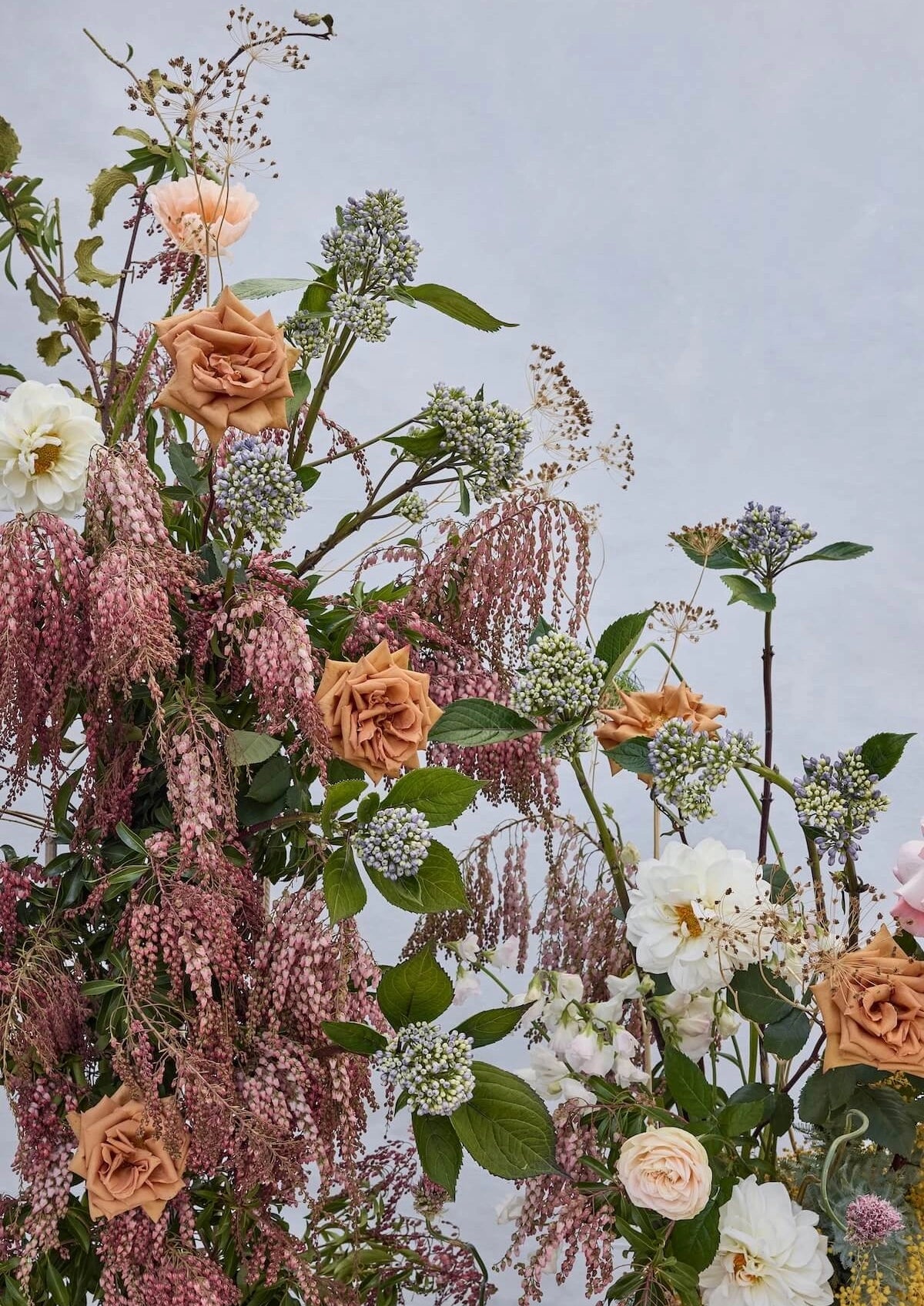 Fine art print of wild garden arrangement with terracotta roses, dusty pink amaranth, cream dahlias and delicate seed heads against soft blue background