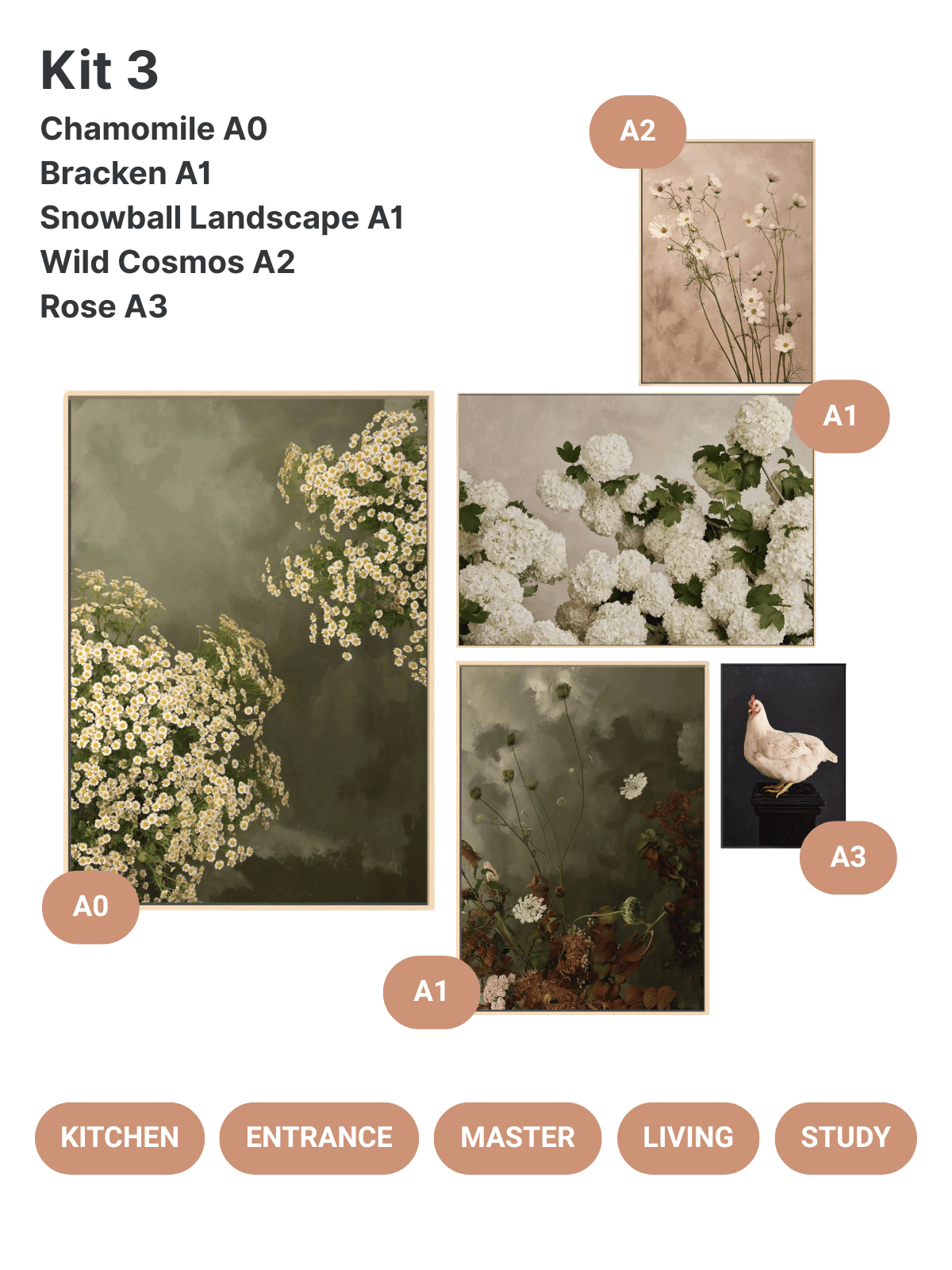 Austin Bloom Fine Art Print Kit 3 - Kitchen + Entrance + Master + Living + Study