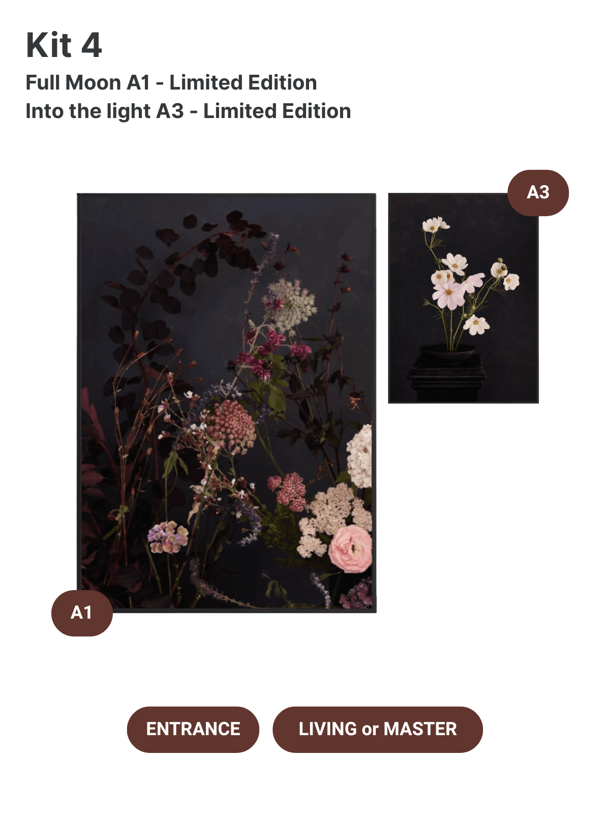 Austin Bloom Fine Art Print Kit 4 - Entrance + Living or Master