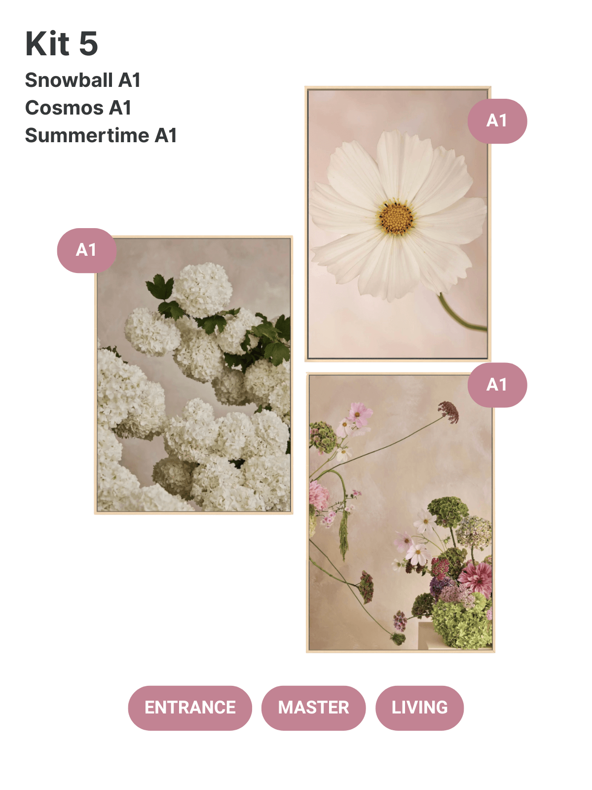 Austin Bloom Fine Art Print Kit 5 - Entrance + Master + Living