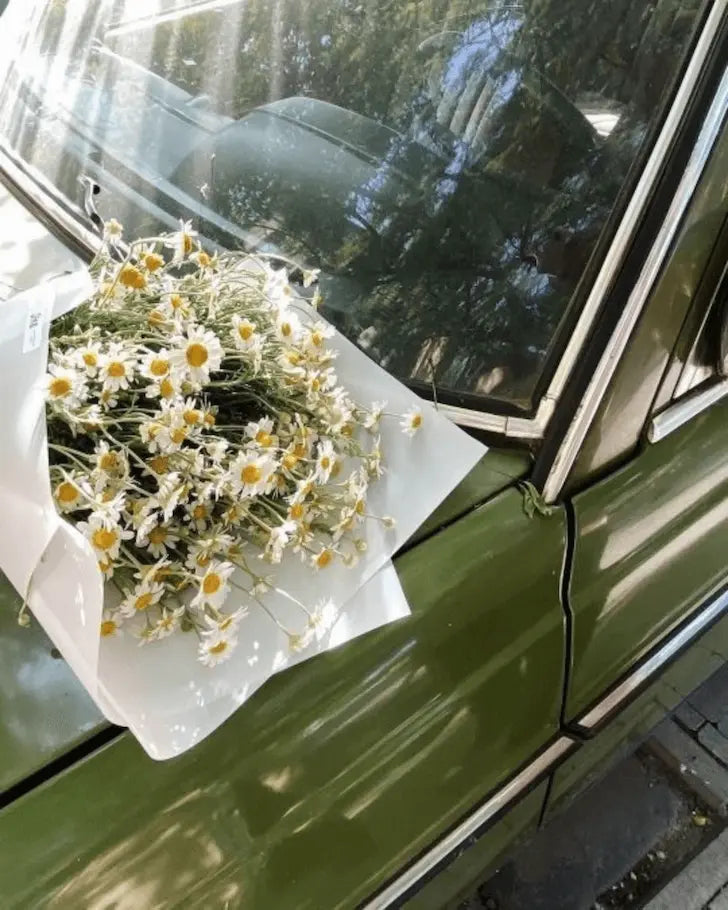 Chamomile Inspiration: Styling Our Most-Loved Botanical Print | Austin Bloom