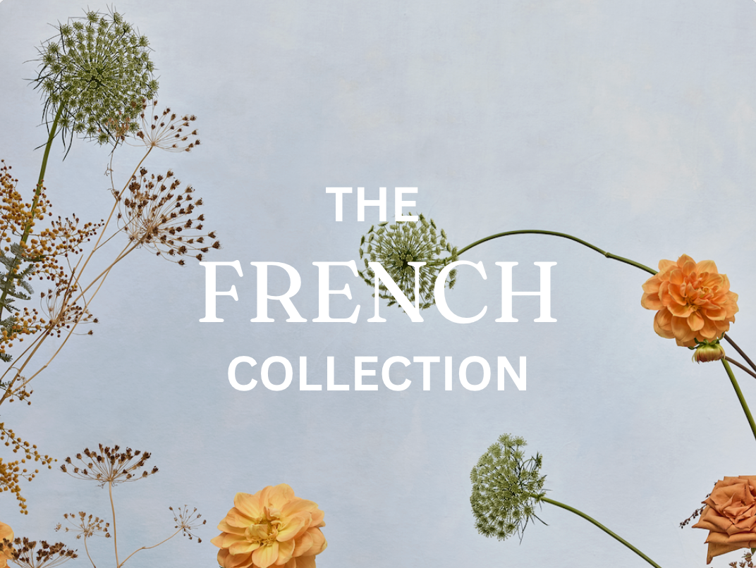 Du Calme: Our French-Inspired Art Collection | Austin Bloom
