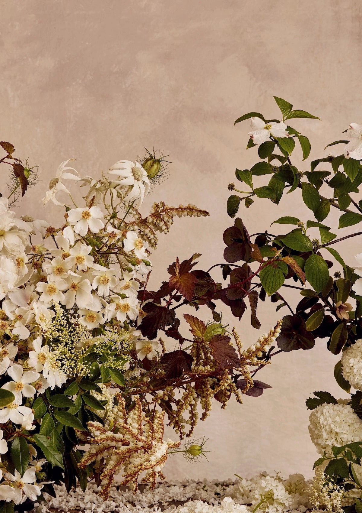 Forage - Fine Art Print