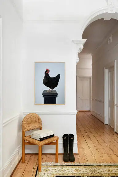 Fine art print of a black rooster perched on a pedestal against a soft blue background, displayed in a bright hallway with white walls, timber floors, and decorative archway