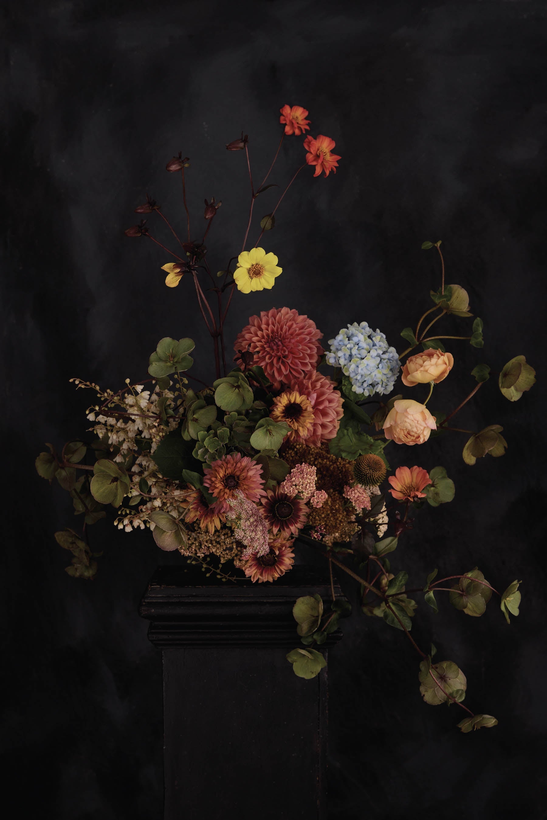 Austin Bloom Fine Art Print Dutch Masters 1