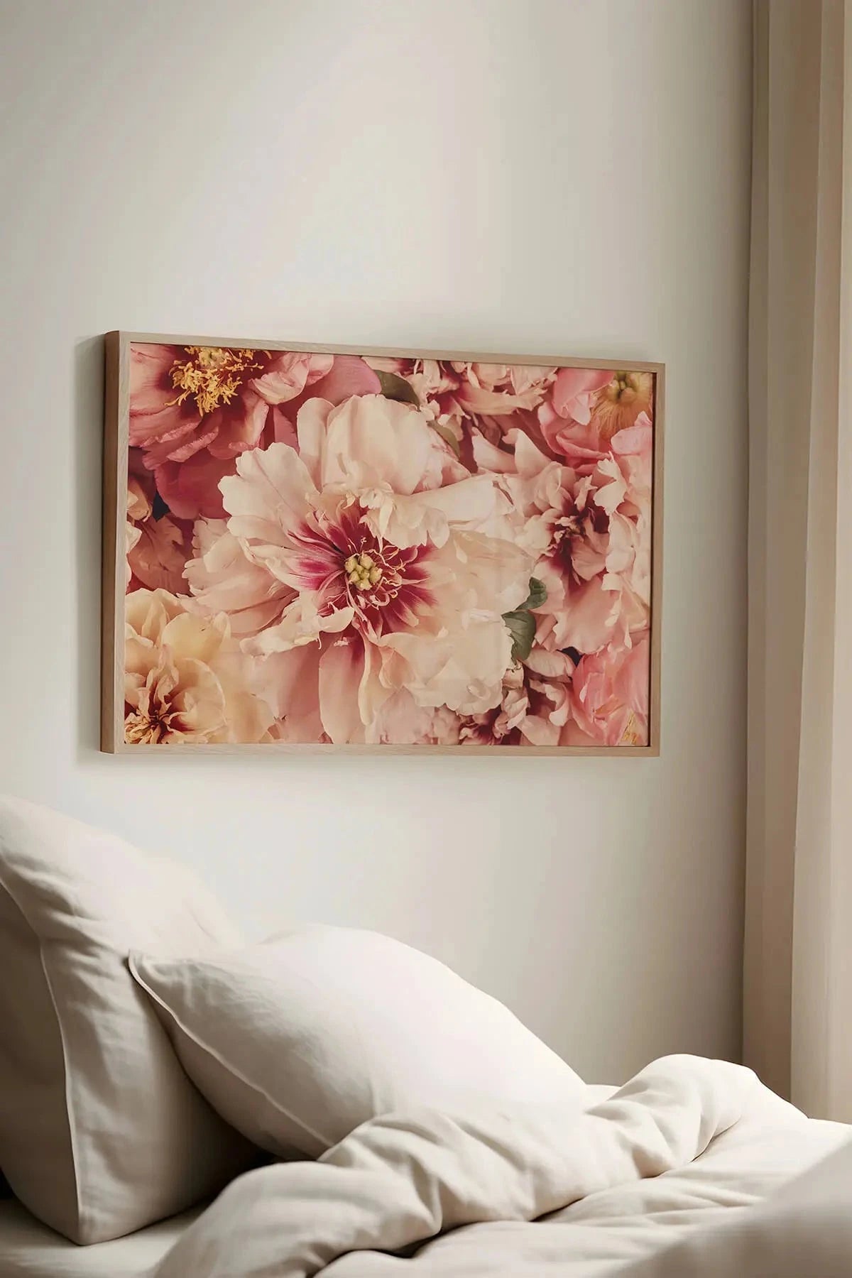Fine art print of soft pink and cream peonies with burgundy centres in a natural oak frame, displayed above white bedding in a serene bedroom setting.