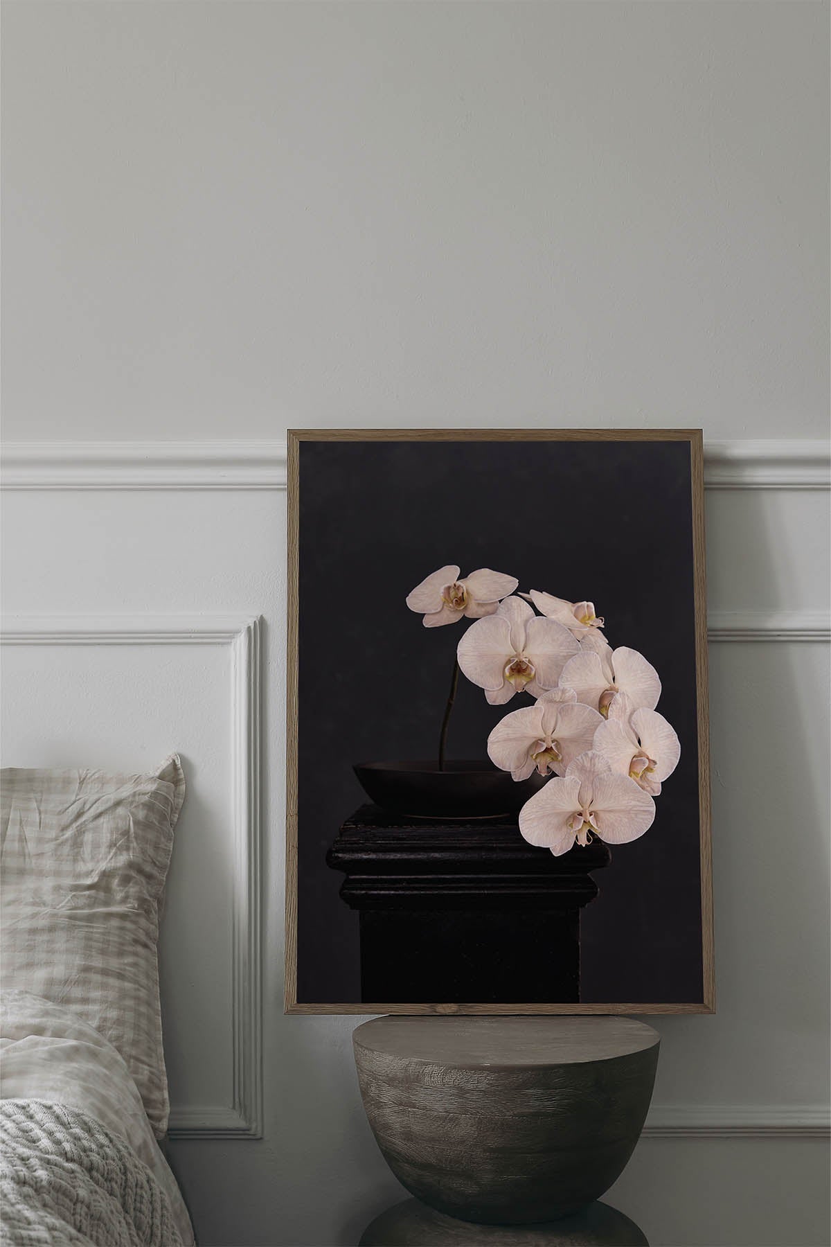 Austin Bloom Fine Art Print Phalaenopsis - Fine Art Print