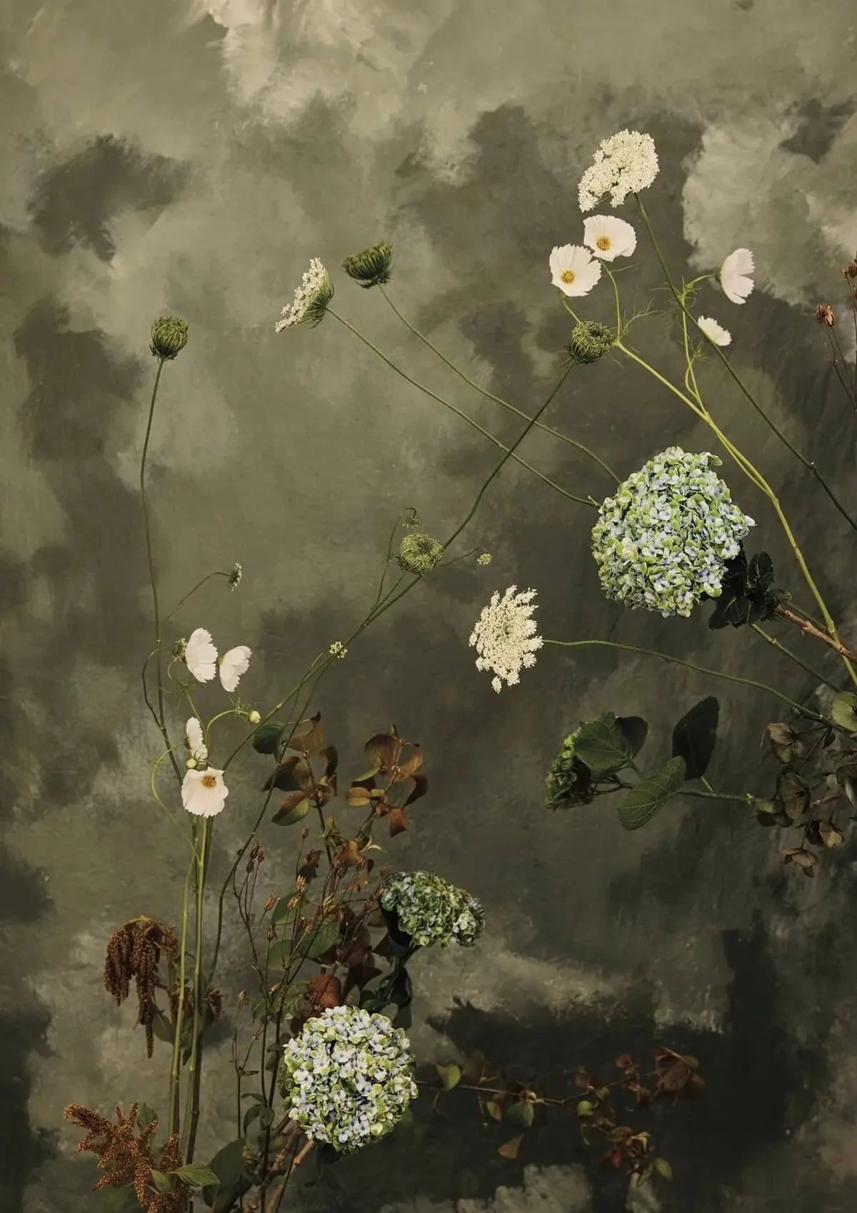 Austin Bloom Fine Art Print Ramble