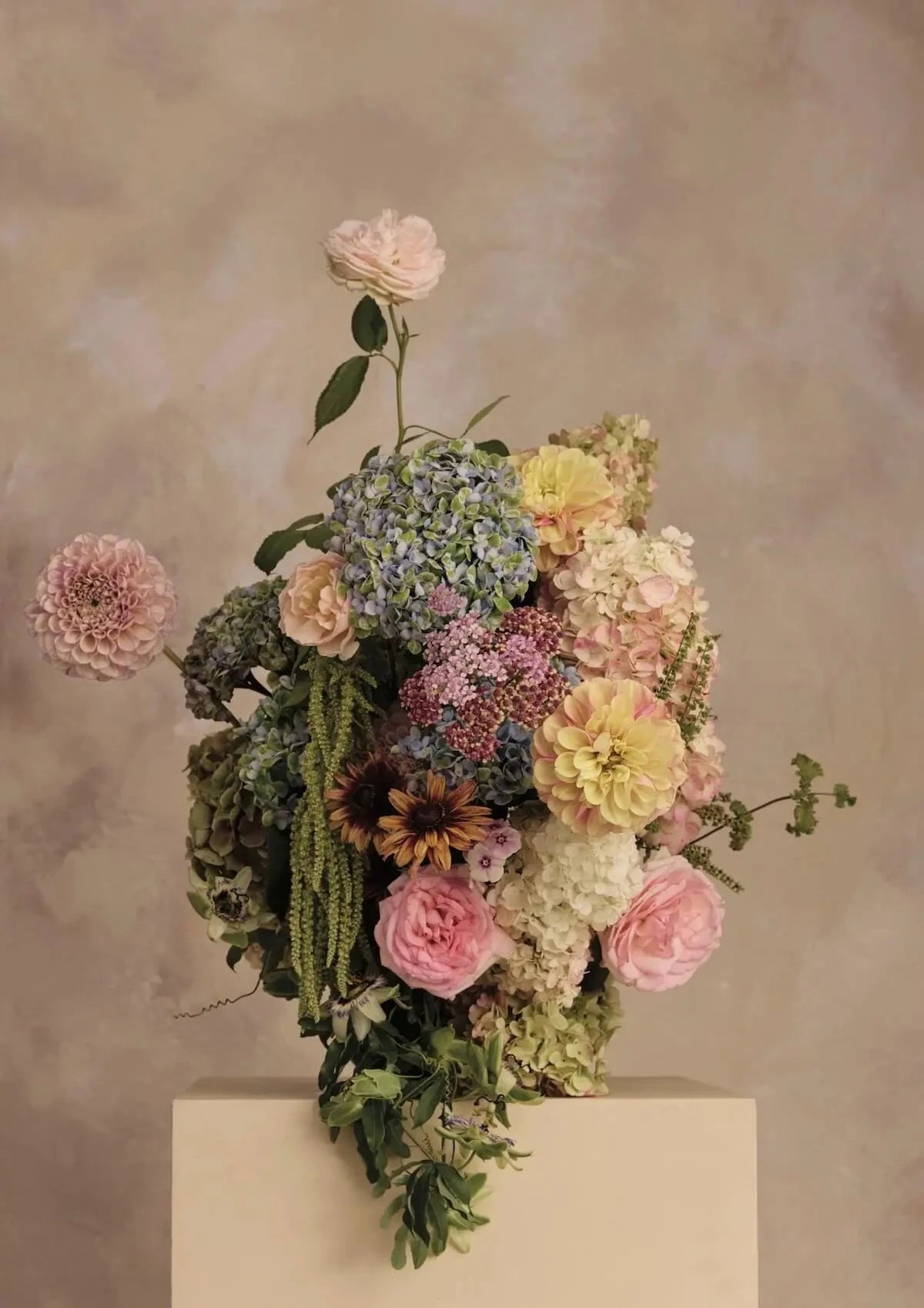 Austin Bloom Fine Art Print Sorbet