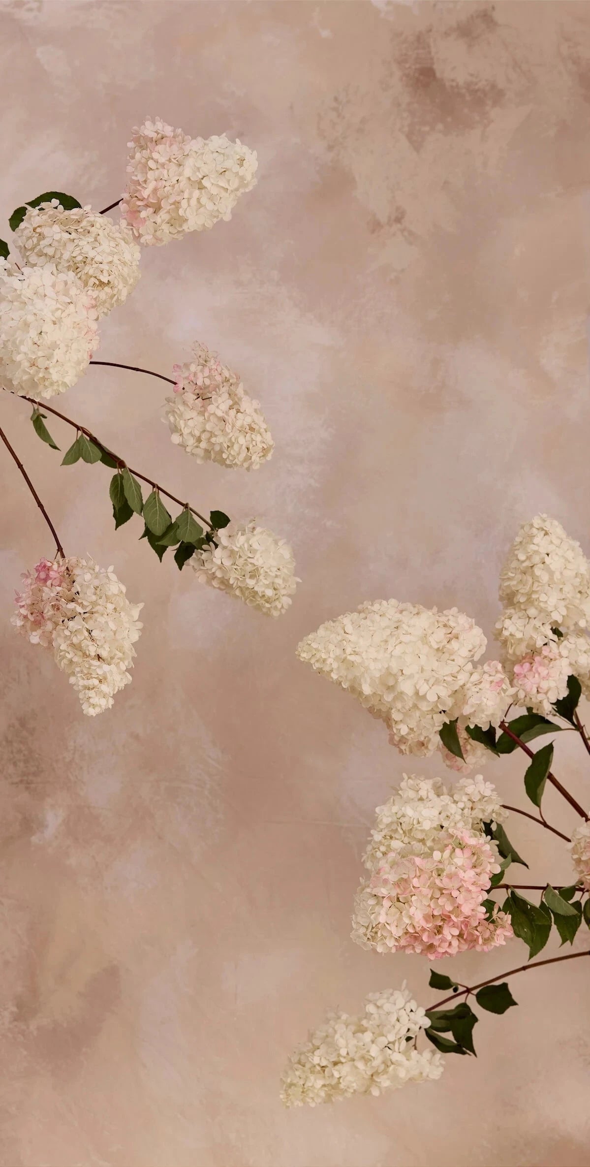 Austin Bloom Wall Hanging Standard | 760 mm x 1410 mm Paniculata Wall Hanging